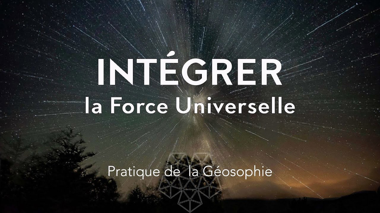 Intégrer la force universelle